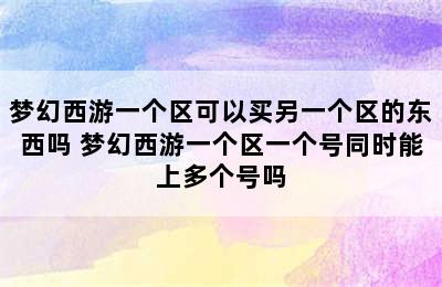 梦幻西游一个区可以买另一个区的东西吗 梦幻西游一个区一个号同时能上多个号吗